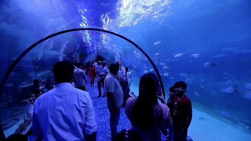 V Emirátech otevřeli největší akvárium Blízkého východu
